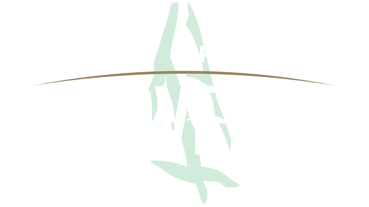 Tribe Logo White